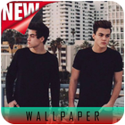 Dolan Twins Wallpapers HD أيقونة