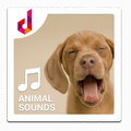 ”Animal Sound Ringtones