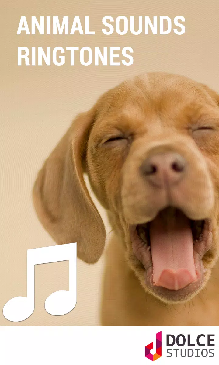 Animal Sound Ringtones APK for Android Download Animal Sound Ringtones APK for Android Download