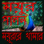 ময়ূরের বর্তমান খামার ব্যবস্থা icône