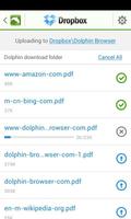 Dropbox for Dolphin постер