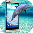 Dolphin in Phone screen fun Joke with your friends