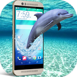 Dolphin in Phone screen fun Joke with your friends
