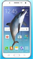 Dolphin in Phone screen fun Joke with your friends 海报