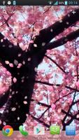 Sakura video Live Wallpaper โปสเตอร์