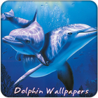 Dolphin 4 k Wallpapers Free Zeichen