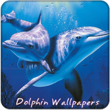 Dolphin 4 k Wallpapers Free Zeichen