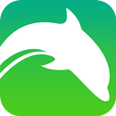 APK Браузер Dolphin