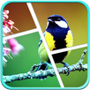 My Collage Maker APK