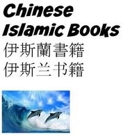 Chinese Islamic Books الملصق