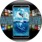 Dolphin Live Wallpaper иконка