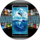 Dolphin Live Wallpaper icône