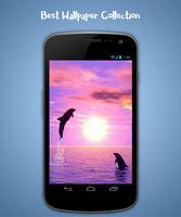 Dolphin Live Wallpaper imagem de tela 1