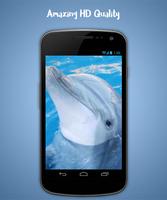 Dolphin Live Wallpaper imagem de tela 2