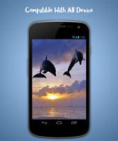 Dolphin Live Wallpaper imagem de tela 3