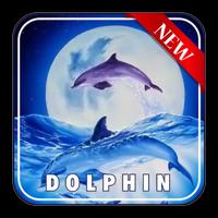 Dolphin Live Wallpaper poster