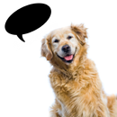 Dog Translator++   (Simulator) APK