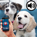 Human to dog translator++ APK
