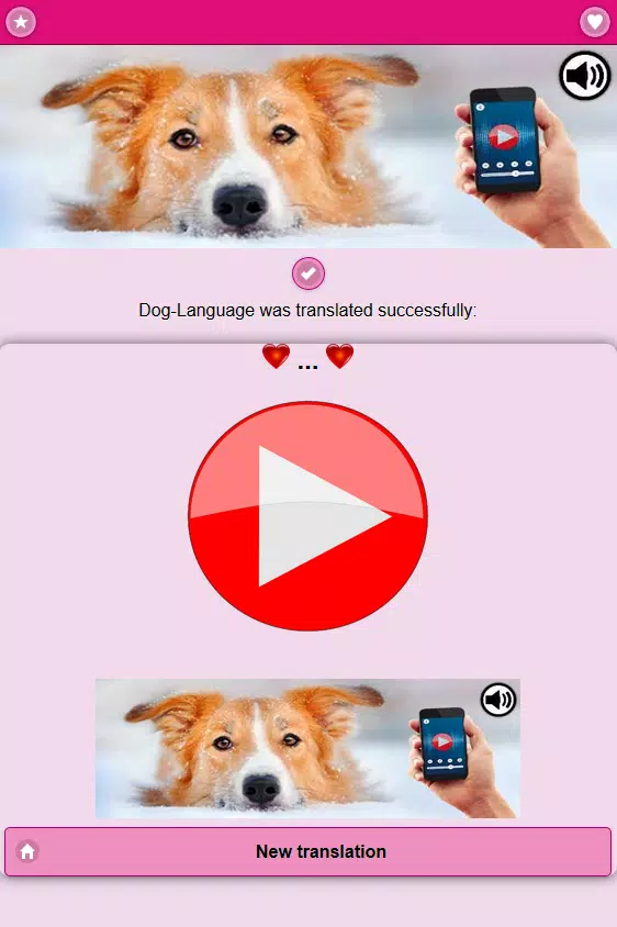 Mensch zu Hund Übersetzer APK für Android herunterladen