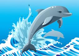 Playing with Dolphino screenshot 3