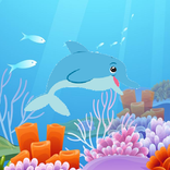 Playing with Dolphino