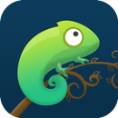 Anole Launcher APK