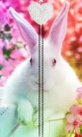 Cute Bunny Zipper UnLock Cartaz