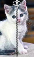 Kitty Cat Zipper UnLock الملصق