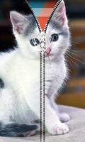 Kitty Cat Zipper UnLock स्क्रीनशॉट 1