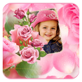 Rose Flower Photo Frames