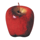 Cato APK