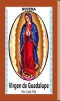 Virgen de Guadalupe Free Affiche