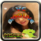 VC Pascol Bigo Live Puzz icône