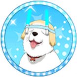 SIFAM - SIF Account Manager