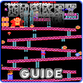 Guide Donkey Kong