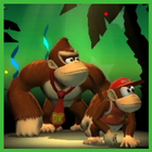 Guide: Donkey Kong Classic Zeichen