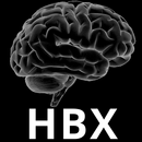 HBX Binaural Player APK