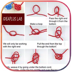 Knots Rope Master APK download