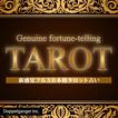 Genuine fortune-telling TAROT