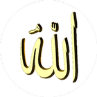Allah Quotes icône
