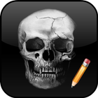 How To Draw Skull আইকন