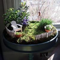 برنامه‌نما Fairy Garden Ideas عکس از صفحه