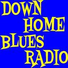 Down Home Blues Radio icône