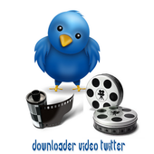 downloader video twitter icon