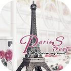 Paris locker theme ícone