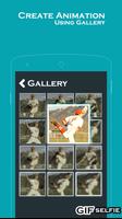 GIFselfie - GIF Maker স্ক্রিনশট 1