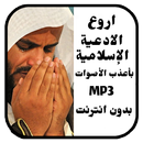 Doa Harian Islam mp3 APK