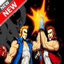 free Double Dragon 2 Guide APK