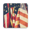 American Flag HD Mobile Wallpapers APK