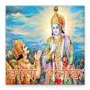 Gita Ke Anmol Vachan - गीता के अनमोल वचन APK